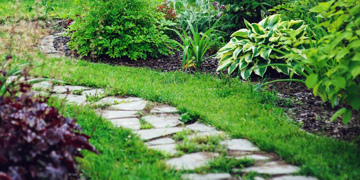 Flagstone path going through grass for a walkway.