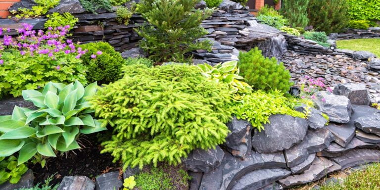 A picture of beautiful landscaping incorporating rocks for hardscape.